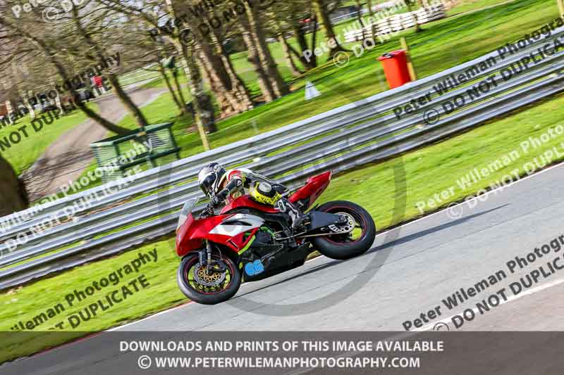 Oulton Park 21st March 2020;PJ Motorsport Photography 2020;anglesey;brands hatch;cadwell park;croft;donington park;enduro digital images;event digital images;eventdigitalimages;mallory;no limits;oulton park;peter wileman photography;racing digital images;silverstone;snetterton;trackday digital images;trackday photos;vmcc banbury run;welsh 2 day enduro